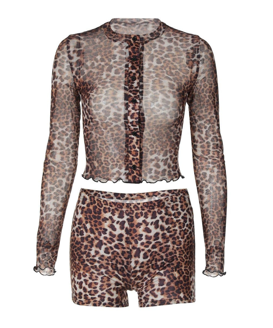 Fierce Leopard Print Sheer Mesh Co-ord Set - Trendy Fall Top & Shorts