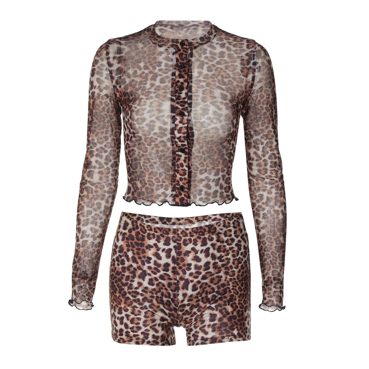Fierce Leopard Print Sheer Mesh Co-ord Set - Trendy Fall Top & Shorts