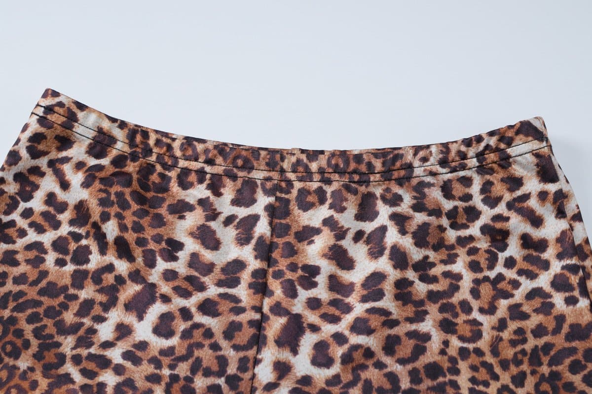 Fierce Leopard Print Sheer Mesh Co-ord Set - Trendy Fall Top & Shorts