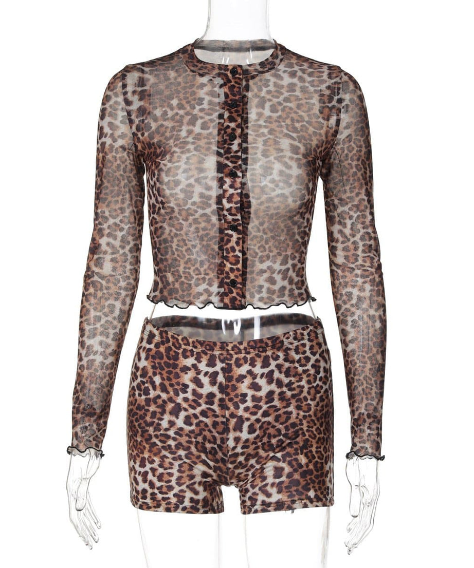 Fierce Leopard Print Sheer Mesh Co-ord Set - Trendy Fall Top & Shorts