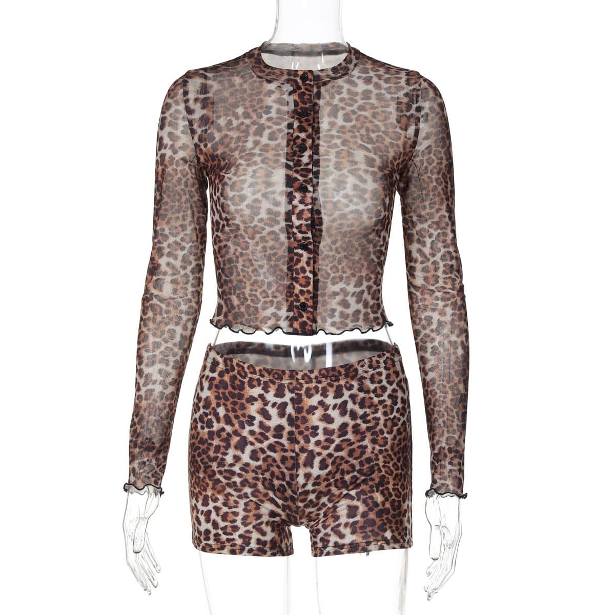 Fierce Leopard Print Sheer Mesh Co-ord Set - Trendy Fall Top & Shorts