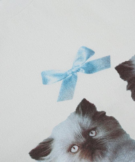 Cozy Kitten Duo White Crop Top - Sweet Y2K Fall Style with Lace Trim