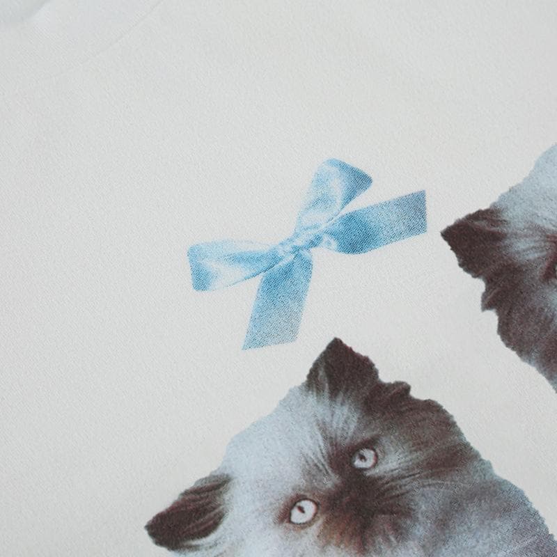 Cozy Kitten Duo White Crop Top - Sweet Y2K Fall Style with Lace Trim