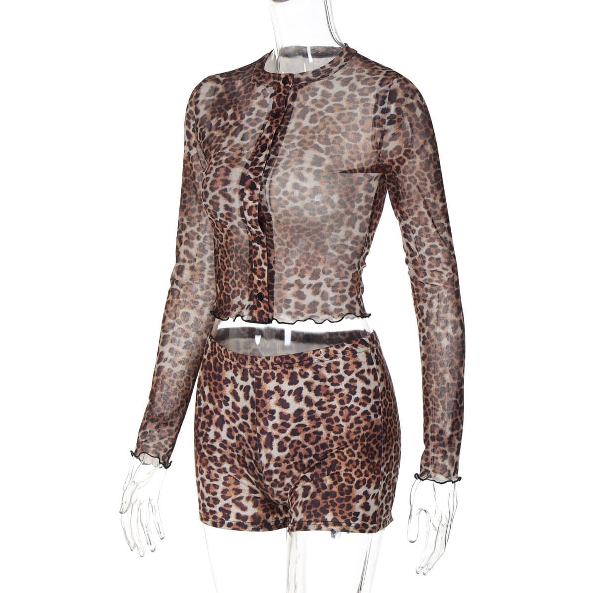 Fierce Leopard Print Sheer Mesh Co-ord Set - Trendy Fall Top & Shorts