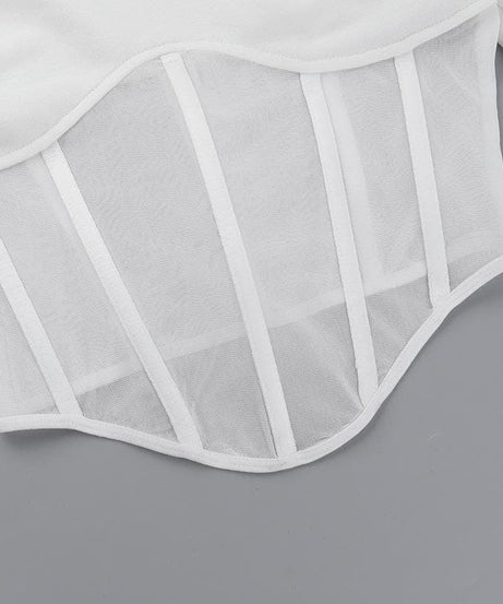 Chic White Mesh Corset Long Sleeve Crop Top | Fall 2025 Trendy Essential