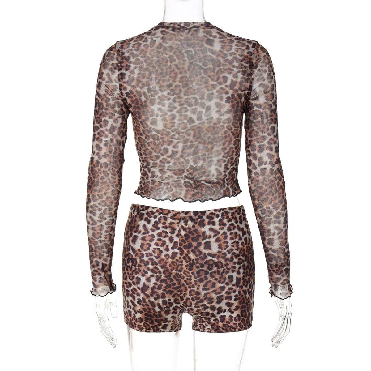 Fierce Leopard Print Sheer Mesh Co-ord Set - Trendy Fall Top & Shorts